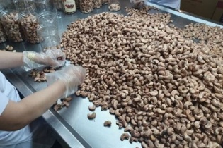 Quảng Nam: Thanh tra quản lý, sử dụng đất đối với dự án của Công ty Thượng Cao
