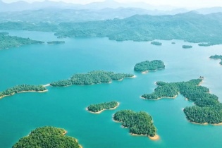 Quảng Nam đề xuất chuyển 102,95 ha rừng trồng để xây dựng Dự án Hồ Trường Đồng
