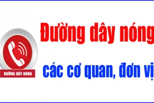 Quảng Bình đưa vào hoạt động kênh tiếp nhận phản ánh, kiến nghị của nhà đầu tư