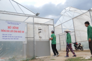 Ninh Thuận thu hút đầu tư 31 dự án về nông nghiệp ứng dụng công nghệ cao