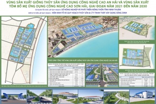 Ninh Thuận công bố quy hoạch hai vùng sản xuất thủy sản công nghệ cao rộng hơn 200ha