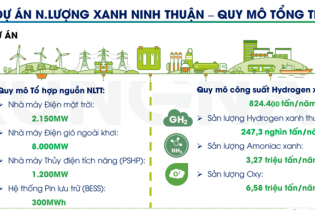 Trung Nam nghiên cứu phát triển tổ hợp năng lượng và khu công nghiệp xanh tại Ninh Thuận