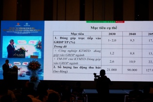 Phát triển Khu thương mại tự do Đà Nẵng: Cần cơ chế, chính sách mở