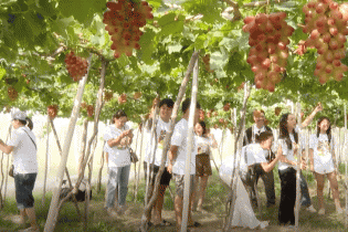 Hơn 100.000 lượt du khách đến Phú Yên, Ninh Thuận dịp Tết Nguyên đán 