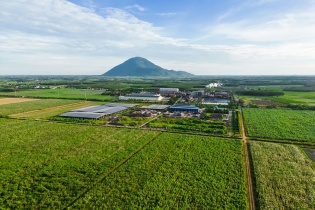 TTC Agris đề xuất mô hình Demofarm nông nghiệp công nghệ cao gắn với mía tại Gia Lai