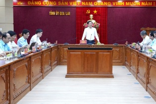 Tập đoàn VRG đề xuất tham gia đầu tư dự án năng lượng tại Gia Lai