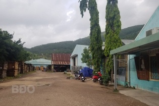 Gia Lai tiếp nhận hồ sơ đăng ký thực hiện Dự án Nhà ở xã hội Bông Hồng