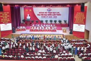 Đại biểu dự Đại hội Đảng bộ tỉnh Gia Lai quyên góp giúp đồng bào bị thiệt hại do bão Bualoi