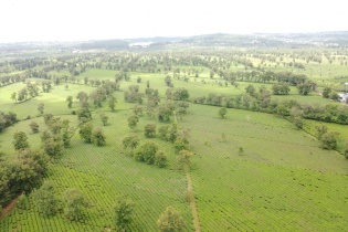 Gia Lai phê duyệt dự án nông nghiệp công nghệ cao hơn 1.600 tỷ đồng