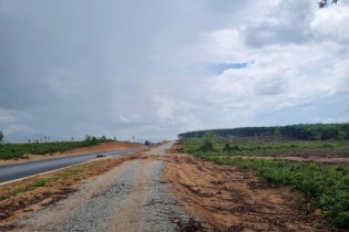 Gia Lai chuyển đổi gần 9 ha rừng để thực hiện Dự án Trạm dừng nghỉ cao tốc Bắc - Nam