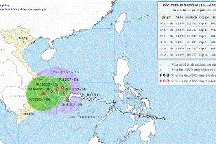 Gia Lai ứng phó với bão số 15 và mưa lũ với tinh thần chủ động cao nhất