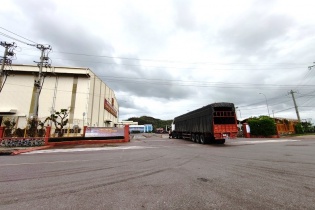 Kinh tế tỉnh Gia Lai ghi nhận nhiều tín hiệu khởi sắc trong tháng đầu năm 2026