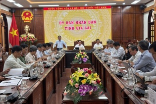 Gia Lai lập ban chỉ đạo ứng phó với biến động giá thị trường vật liệu xây dựng