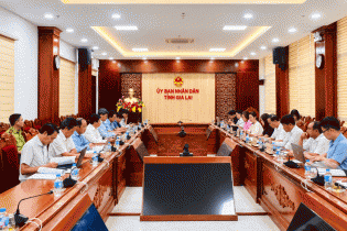 EVNNPT, ADB làm việc với Gia Lai về thẩm định vốn vay cho dự án đường dây 500kV