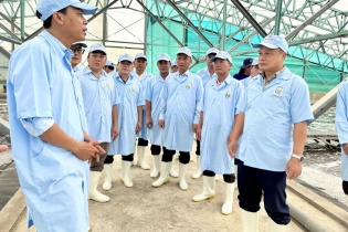 Gia Lai hỗ trợ 100% tiền thuê lại đất trong 5 năm đối với một số doanh nghiệp
