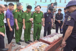 Lực lượng công an, hải quan phát hiện hơn 1,1 tấn ngà voi được cất giấu tinh vi