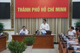 Phó thủ tướng Vũ Đức Đam: Phải xử lý hình sự những trường hợp nhập cảnh trái phép