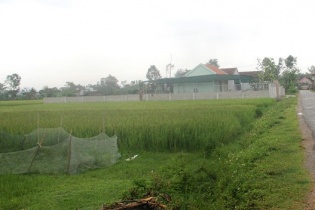 Nghệ An: Khởi tố, bắt tạm giam Cựu Bí thư Đảng ủy, Chủ tịch xã bán đất trái phép