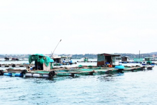 Nha Trang: Quy hoạch khu nuôi trồng thủy sản riêng để phát triển du lịch