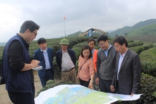 Nghệ An quy hoạch 4 vùng phát triển chuỗi giá trị ngành nông nghiệp