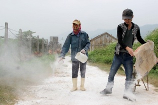 Công bố dịch tả lợn Châu Phi tại Nghệ An