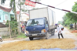Nghệ An: Dịch tả lợn châu Phi vẫn lan rộng