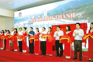 Nhà máy sản xuất gỗ lớn nhất Hà Tĩnh chính thức đi vào hoạt động