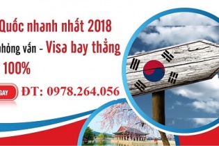Thu hồi giấy phép 6 trung tâm tư vấn du học tại Nghệ An