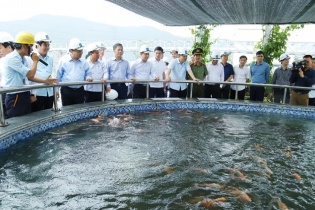 FHS xác nhận hoàn thành công trình bảo vệ môi trường