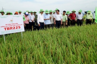 Nghệ An quy hoạch huyện Yên Thành thành vùng nông nghiệp trọng điểm