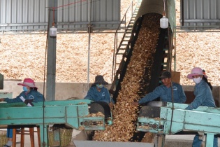 Phú Yên bàn giải pháp phát triển doanh nghiệp đến năm 2020