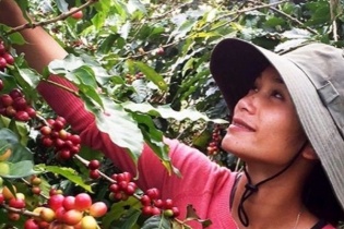 Quảng Trị đề xuất được hỗ trợ kết nối tiêu thụ nông sản