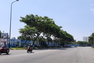 Đà Nẵng: Đấu giá 10 dự án, khu đất để thu hút đầu tư