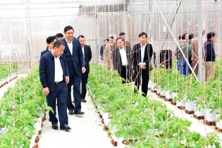 Nghệ An được phân bổ gần 1.380 tỷ đồng xây dựng nông thôn mới giai đoạn 2021-2025