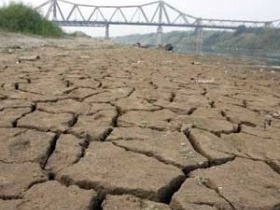 Biến đổi khí hậu và nỗi lo an ninh lương thực