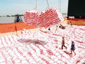 Chạy đua tham gia xuất khẩu gạo