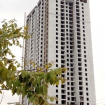 HUD3 không tranh chấp “Golden Palace” với Mai Linh