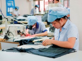 Dệt may hồ hởi chia cổ tức