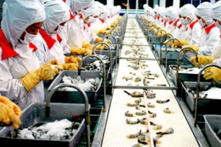 Thủy sản Minh Phú bổ nhiệm CFO