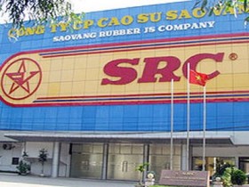 Lịch trả cổ tức, đại hội thường niên của doanh nghiệp niêm yết
