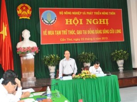 VFA vẫn là đầu mối mua tạm trữ lúa hàng hóa