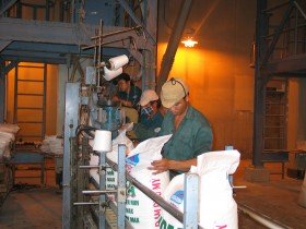 Chấm dứt chính sách ưu đãi nhập khẩu ure
