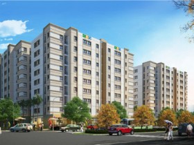 CEO động thổ dự án nhà giá rẻ tại Quốc Oai