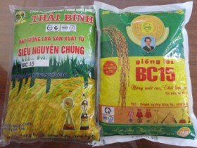 Một tấn thóc giống, chỉ có 80kg thóc thật