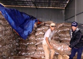 Khoai tây Trung Quốc "đội lốt" Đà Lạt vẫn ngập chợ