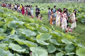 Những dịch vụ mang tính thời vụ kiếm bạc triệu/ngày