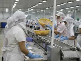 Ngao xuất khẩu Thanh Hóa bí đầu ra