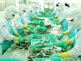 Xuất khẩu tôm gánh nặng thuế trùng thuế