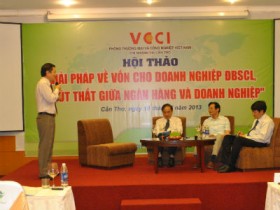 Doanh nghiệp ĐBSCL kiến nghị cơ cấu lại nợ