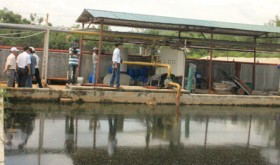 Xả thải ra môi trường, Đại Việt bị phạt 115 triệu đồng
